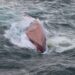 Naufragio de barco surcoreano frente a costas de Japón deja 8 muertos