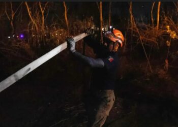 Incendios tienen en alerta a 2 entidades y viene el calor