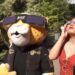 La SSC de la CDMX pone a la venta lentes especiales para ver el eclipse solar 2024