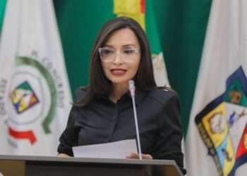 Es necesario limitar el uso y cobro de grúa en sucesos de tránsito: Natalia Rivera