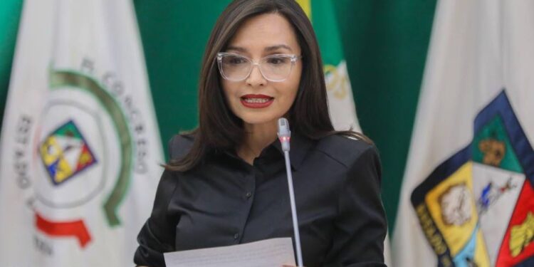 Es necesario limitar el uso y cobro de grúa en sucesos de tránsito: Natalia Rivera