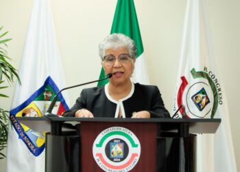 Posicionamiento de la diputada Rebeca Silva sobre la conmemoración del  DÍA INTERNACIONAL DE LA MUJER.