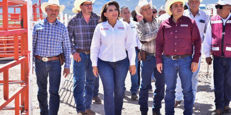La ganadería sonorense tendrá soberanía alimentaria y seguirá siendo referente nacional: Lorenia Valles