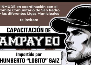 Instituto del Deporte convoca a  participar en la Capacitación de Umpires/Ampáyers