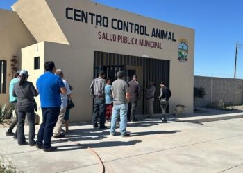 Se abre agenda de esterilizaciones para mascotas en CCA