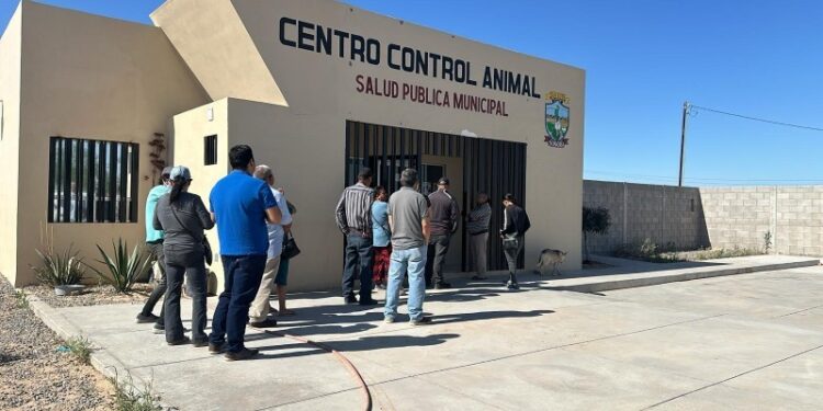 Se abre agenda de esterilizaciones para mascotas en CCA