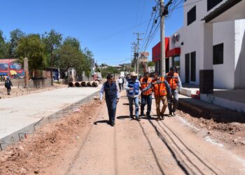Abrirán acceso a comercios  en la avenida Tecnológico