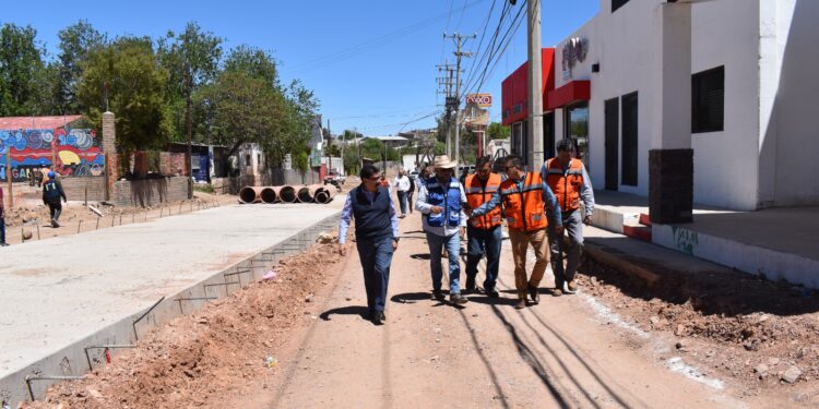 Abrirán acceso a comercios  en la avenida Tecnológico