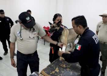 Recibe Policía Estatal certificación especializada para la unidad K-9