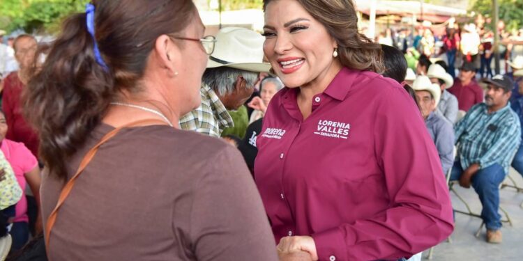 La discapacidad es una condición y no un motivo de la discriminación: Lorenia Valles