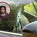 Mujer detenida tras hacer tiroteo durante el eclipse solar en una carretera; dice que «Dios la encomendó»