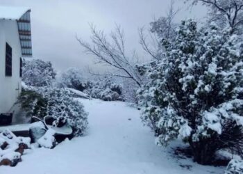 Nevadas pintan de blanco la Sierra de Chihuahua en plena primavera