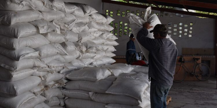Inicia entrega de alimento para ganado dentro del Plan Estratégico del Gobierno de Sonora en Materia Hídrica