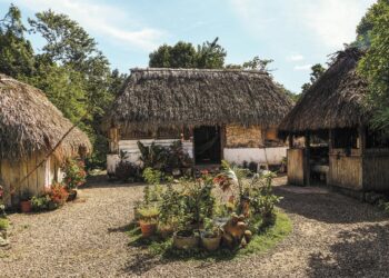 Estados apuestan por el turismo sustentable