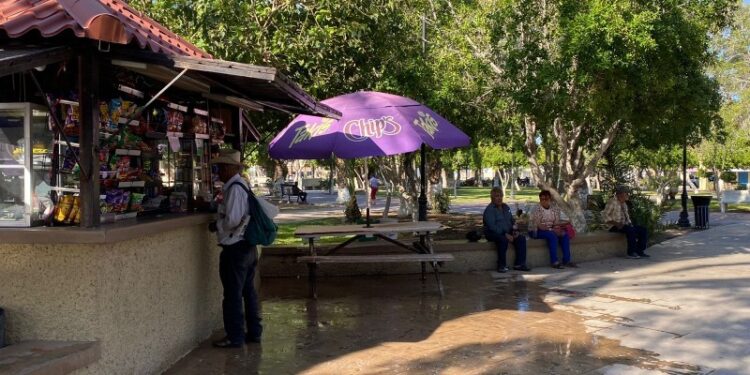 Temperaturas máximas de 36 C. para esta semana: Protección Civil