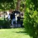 Exhorta Salud Pública a evitar exposición al sol