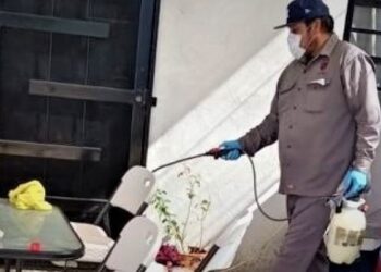 Cuenta Salud Pública con fumigaciones a domicilio