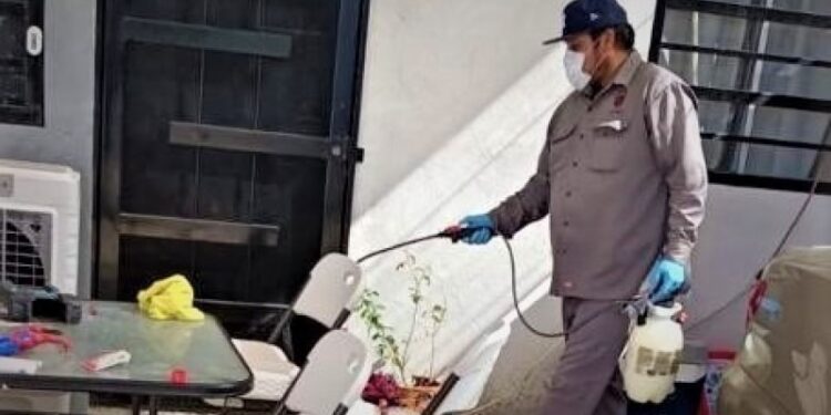 Cuenta Salud Pública con fumigaciones a domicilio