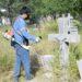 Lleva Servicios Públicos Municipales 92 por ciento de avance en la limpieza de panteones