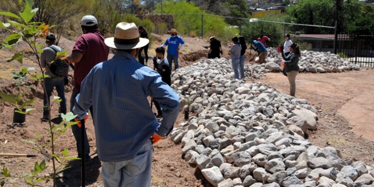 Implementa UTNogales programa “Jardines de Lluvia Escolares” en secundarias