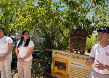 Instalan alumnos de Cobach Sonora “Hotel para abejas solitarias”