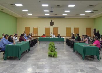 Aprueba Cabildo Integración y envío de Estado Financieros del primer trimestre  2024