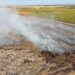Extinguido el incendio del basuron municipal