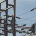 Sistema eléctrico entra en emergencia por tercer día seguido: Cenace