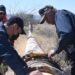 Dará Oomapas mantenimiento al tanque principal de Los Alisos