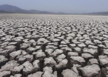 Se disparó 20% la importación de granos básicos en enero-abril