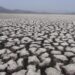 Se disparó 20% la importación de granos básicos en enero-abril