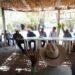 Apoyaremos con todo el Plan de Justicia Mayo para nuestras comunidades: Elías Retes