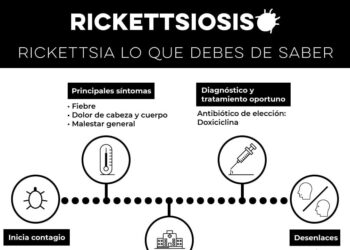 Insta Salud Sonora a prevenir la rickettsia manteniendo los hogares limpios