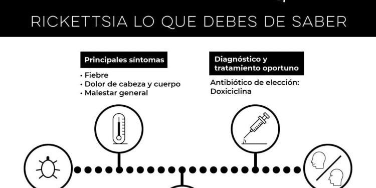 Insta Salud Sonora a prevenir la rickettsia manteniendo los hogares limpios