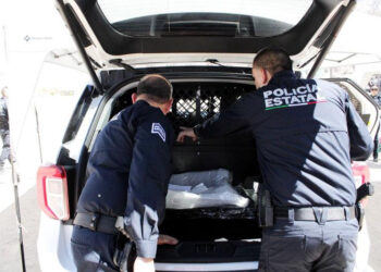 Policía Estatal ha sumado más de 250 patrullas y 629 Policías Estatales en este sexenio