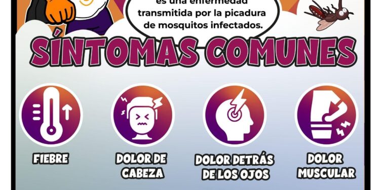 Llama Salud Sonora a eliminar criaderos de mosquitos antes de la temporada de lluvias