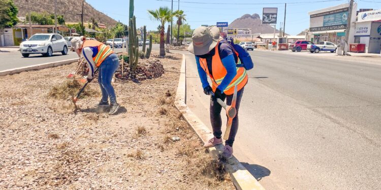 Realiza Servicios Públicos Municipales limpieza de camellón.