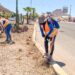 Realiza Servicios Públicos Municipales limpieza de camellón.
