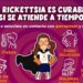 Es la rickettsiosis una enfermedad mortal que se puede prevenir: Salud Sonora