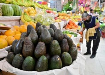 Reinicia en Michoacán certificación de aguacate para exportación a EU