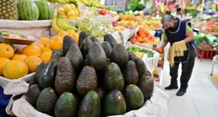 Reinicia en Michoacán certificación de aguacate para exportación a EU