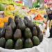 Reinicia en Michoacán certificación de aguacate para exportación a EU