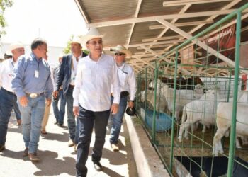 Obtiene Sonora récord histórico en exportación de ganado: Alfonso Durazo