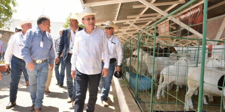 Obtiene Sonora récord histórico en exportación de ganado: Alfonso Durazo
