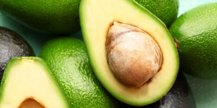 Frena gobierno de Estados Unidos exportaciones mexicanas de aguacate por supuesta agresión a inspectores de USDA