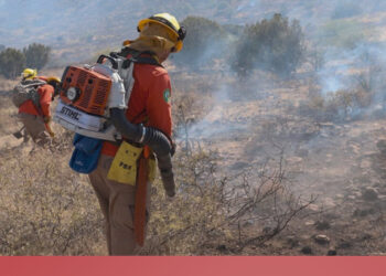 Al menos 105 brigadistas liquidan incendios forestales en Agua Prieta