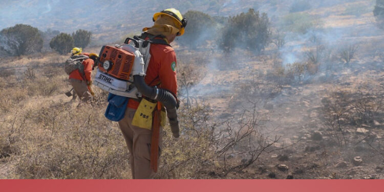 Al menos 105 brigadistas liquidan incendios forestales en Agua Prieta