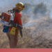 Al menos 105 brigadistas liquidan incendios forestales en Agua Prieta