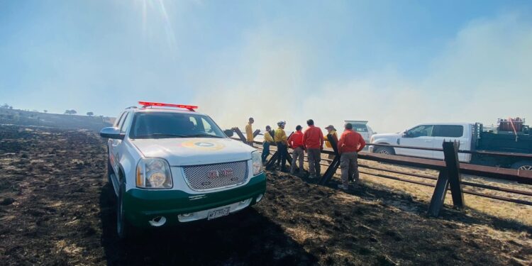 Brigadistas de los dos países se encuentran combatiendo el incendio en la línea fronteriza de Agua Prieta