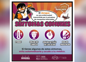 Llama Salud Sonora a eliminar criaderos de mosquitos antes de la temporada de lluvias
